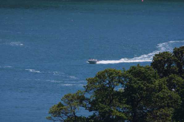 15 May 2020 - 12-29-21 
Lockdown eased. Speed rises. 
------------------------
Dartmouth speedboat. Or, boat at speed.